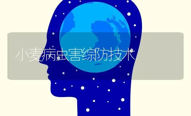 小麦病虫害综防技术 | 粮油作物种植
