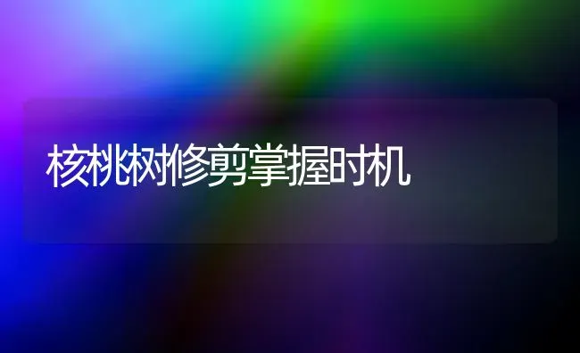 核桃树修剪掌握时机 | 瓜果种植