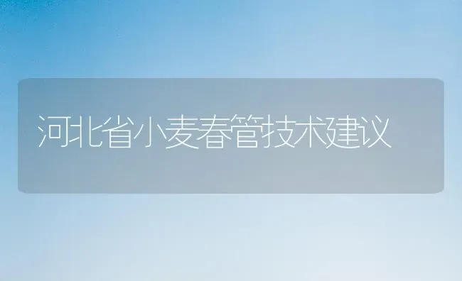 河北省小麦春管技术建议 | 粮油作物种植