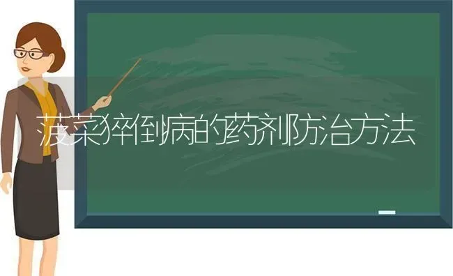 菠菜猝倒病的药剂防治方法 | 蔬菜种植