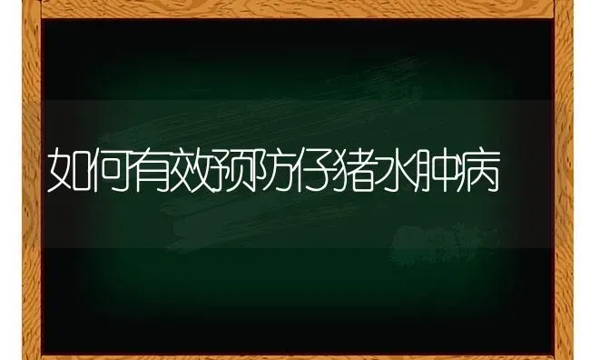 如何科学选择蔬菜品种 | 蔬菜种植