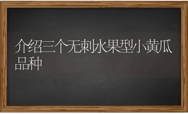 介绍三个无刺水果型小黄瓜品种 | 瓜果种植