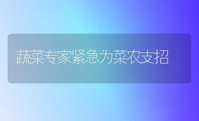 蔬菜专家紧急为菜农支招 | 蔬菜种植