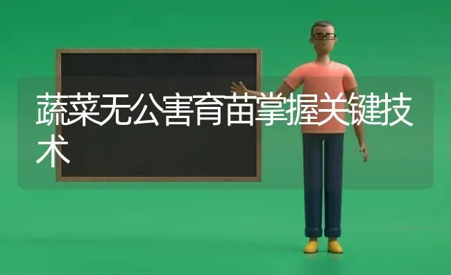 蔬菜无公害育苗掌握关键技术 | 蔬菜种植