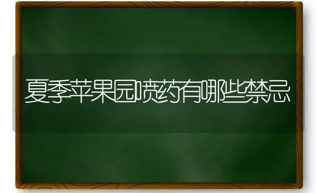 夏季苹果园喷药有哪些禁忌 | 瓜果种植