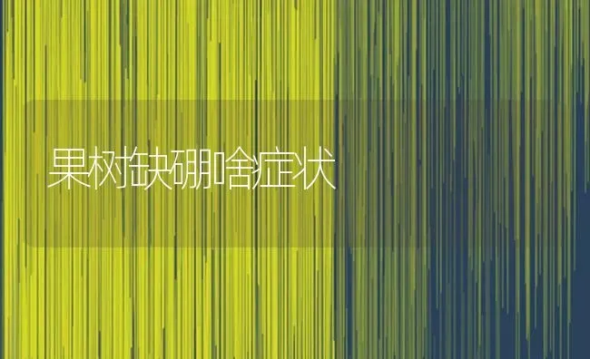 果树缺硼啥症状 | 瓜果种植