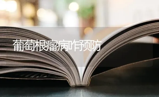 葡萄根瘤病咋预防 | 瓜果种植