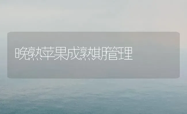 晚熟苹果成熟期管理 | 瓜果种植