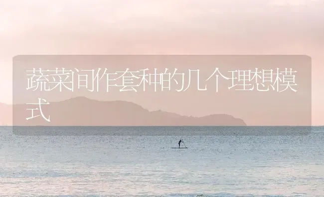 蔬菜间作套种的几个理想模式 | 蔬菜种植