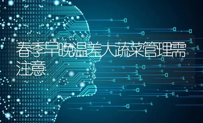 春季早晚温差大蔬菜管理需注意 | 蔬菜种植