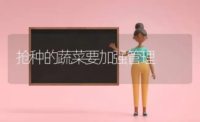 抢种的蔬菜要加强管理 | 蔬菜种植