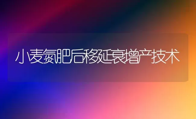 小麦氮肥后移延衰增产技术 | 粮油作物种植