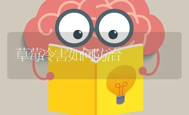 草莓冷害如何防治 | 瓜果种植