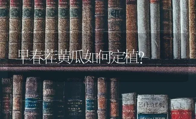 早春茬黄瓜如何定植? | 蔬菜种植