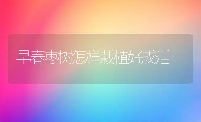 早春枣树怎样栽植好成活 | 瓜果种植