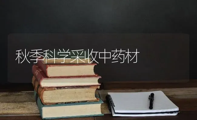 秋季科学采收中药材 | 药材种植