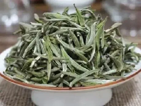 功效常识|白牡丹茶的功效与作用