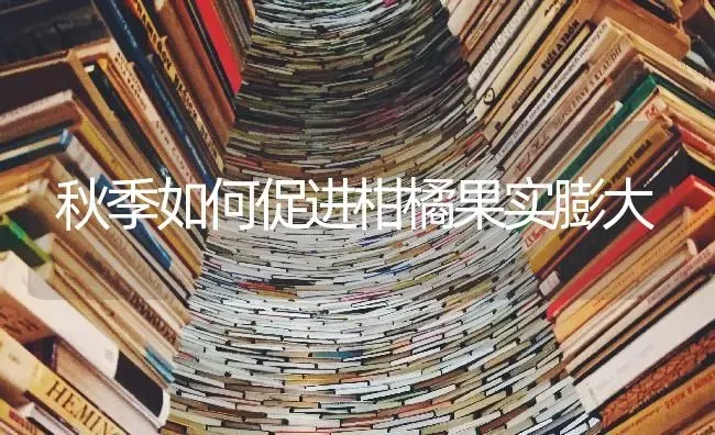 秋季如何促进柑橘果实膨大 | 瓜果种植