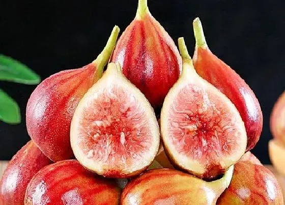 植物产地|自贡盛产什么水果有名