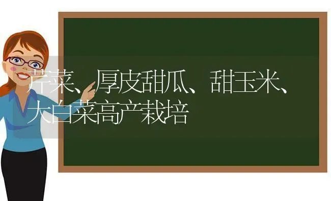 芹菜、厚皮甜瓜、甜玉米、大白菜高产栽培 | 粮油作物种植