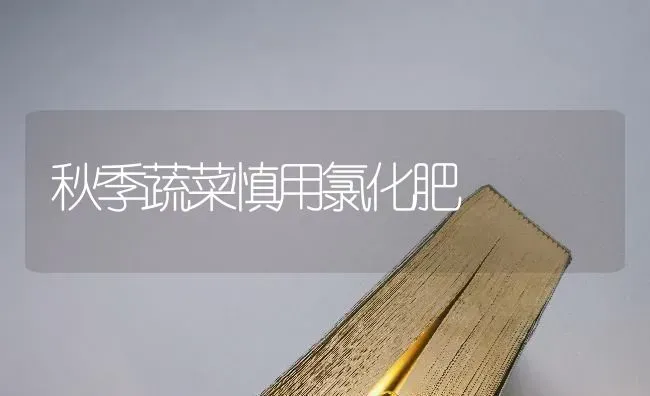 秋季蔬菜慎用氯化肥 | 蔬菜种植