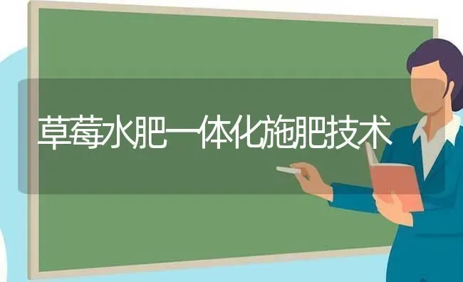 草莓水肥一体化施肥技术 | 种植肥料施肥