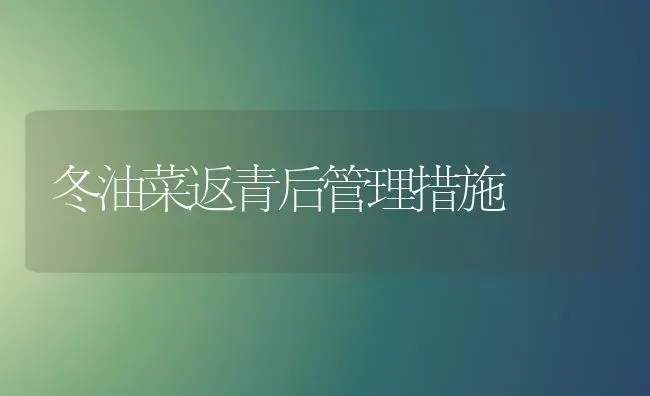 冬油菜返青后管理措施 | 粮油作物种植