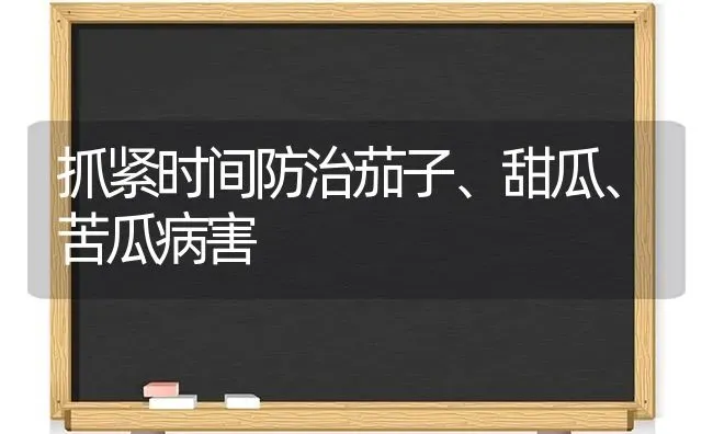 抓紧时间防治茄子、甜瓜、苦瓜病害 | 蔬菜种植