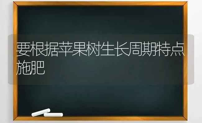 要根据苹果树生长周期特点施肥 | 瓜果种植