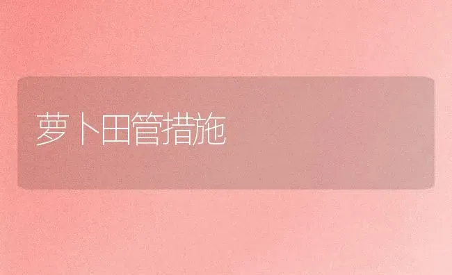 萝卜田管措施 | 蔬菜种植