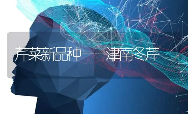 芹菜新品种——津南冬芹 | 蔬菜种植