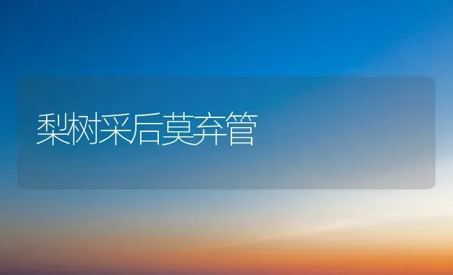 梨树采后莫弃管 | 瓜果种植