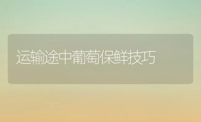 运输途中葡萄保鲜技巧 | 瓜果种植