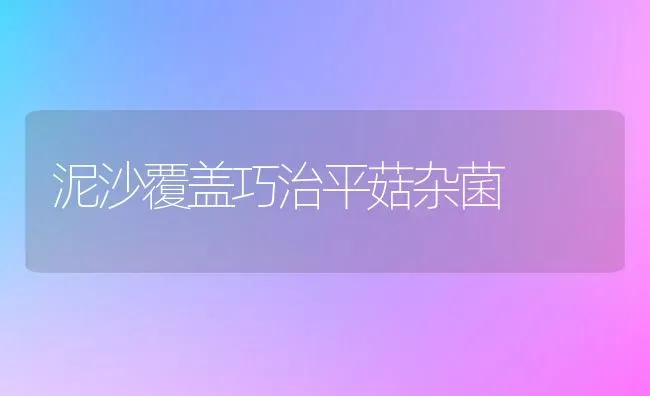 泥沙覆盖巧治平菇杂菌 | 食用菌种植