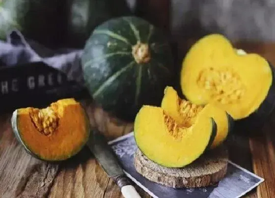 种植管理|南瓜适合几月份种植