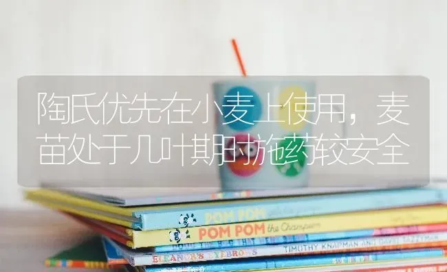 陶氏优先在小麦上使用，麦苗处于几叶期时施药较安全 | 粮油作物种植