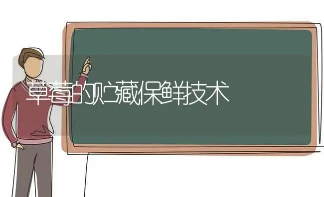 草莓的贮藏保鲜技术 | 瓜果种植