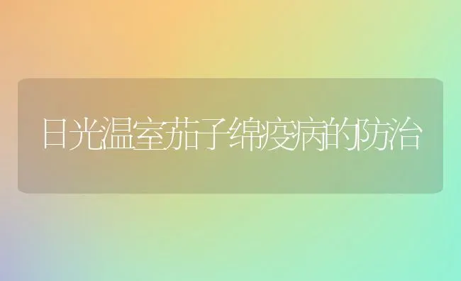 日光温室茄子绵疫病的防治 | 蔬菜种植