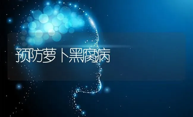 预防萝卜黑腐病 | 蔬菜种植