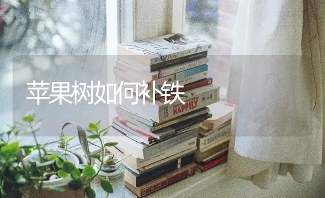 苹果树如何补铁 | 瓜果种植