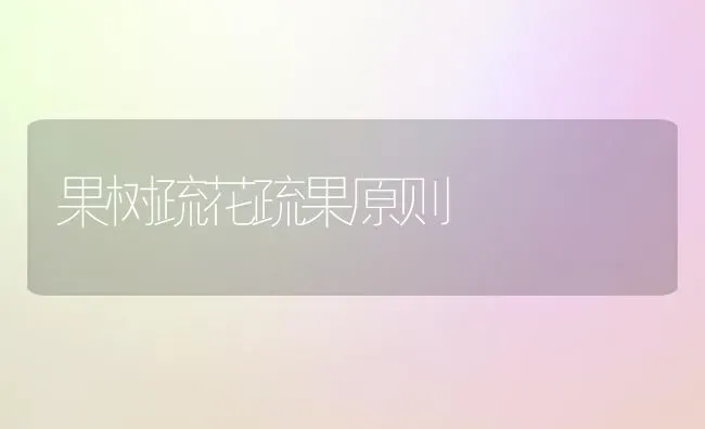 果树疏花疏果原则 | 瓜果种植