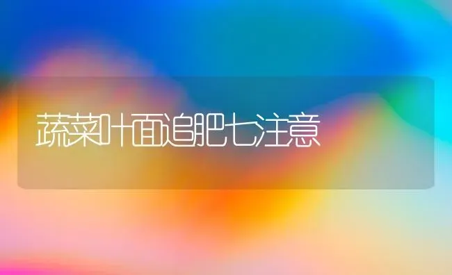 蔬菜叶面追肥七注意 | 蔬菜种植