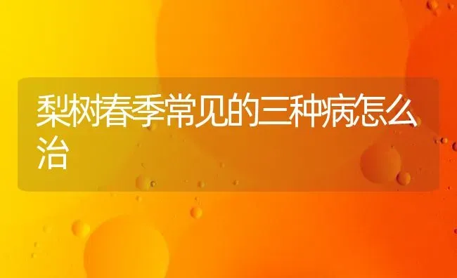 梨树春季常见的三种病怎么治 | 瓜果种植
