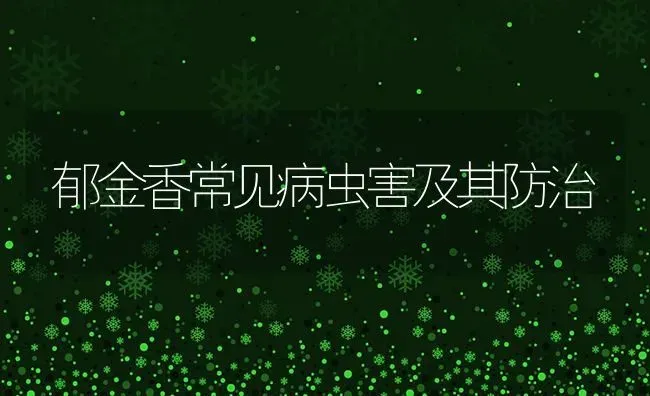 郁金香常见病虫害及其防治 | 种植病虫害防治