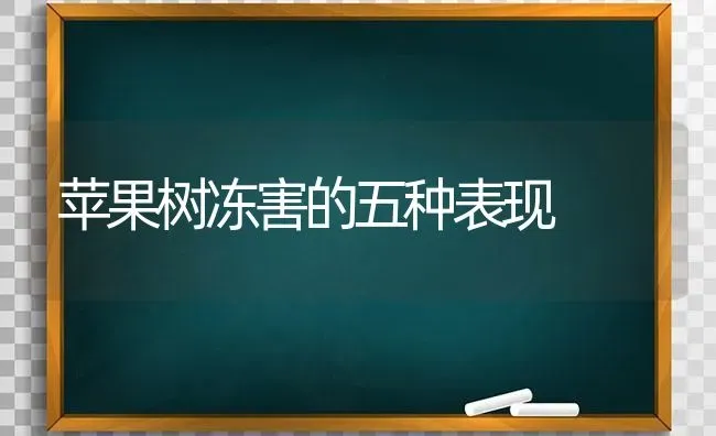 苹果树冻害的五种表现 | 瓜果种植