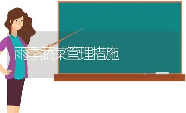 雨季蔬菜管理措施 | 蔬菜种植