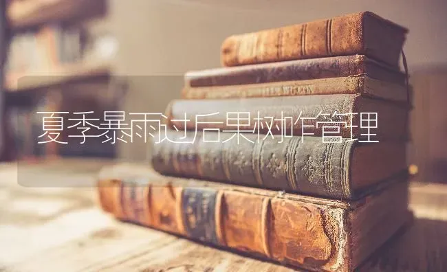 夏季暴雨过后果树咋管理 | 瓜果种植