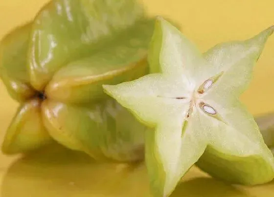 植物泡水|杨桃可以泡水喝吗