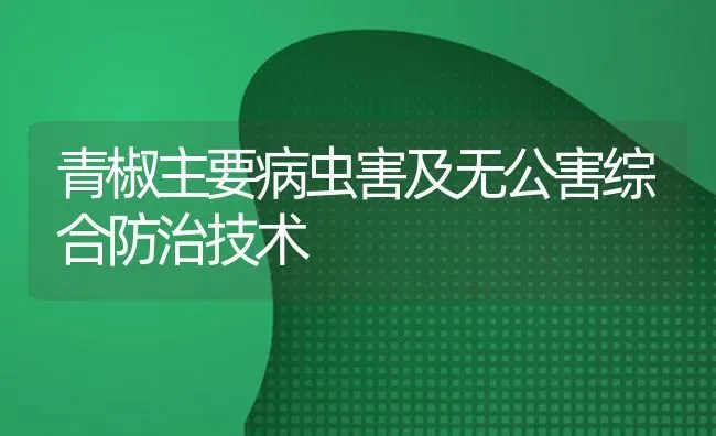 青椒主要病虫害及无公害综合防治技术 | 种植病虫害防治