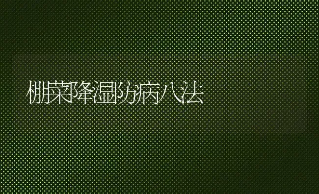 棚菜降湿防病八法 | 蔬菜种植